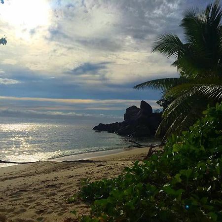 Villas Du Voyageur Grand Anse  Exteriör bild