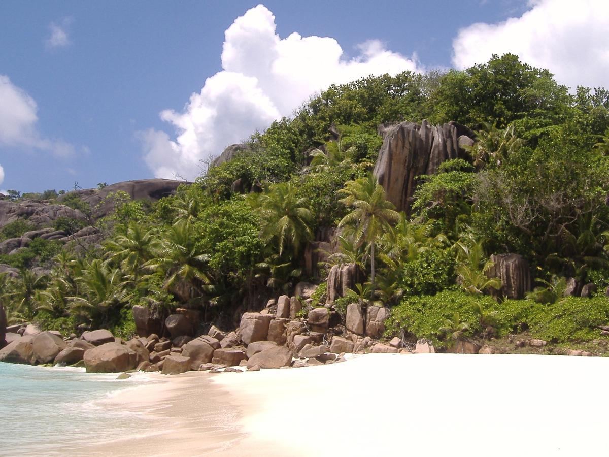 Villas Du Voyageur Grand Anse  Exteriör bild