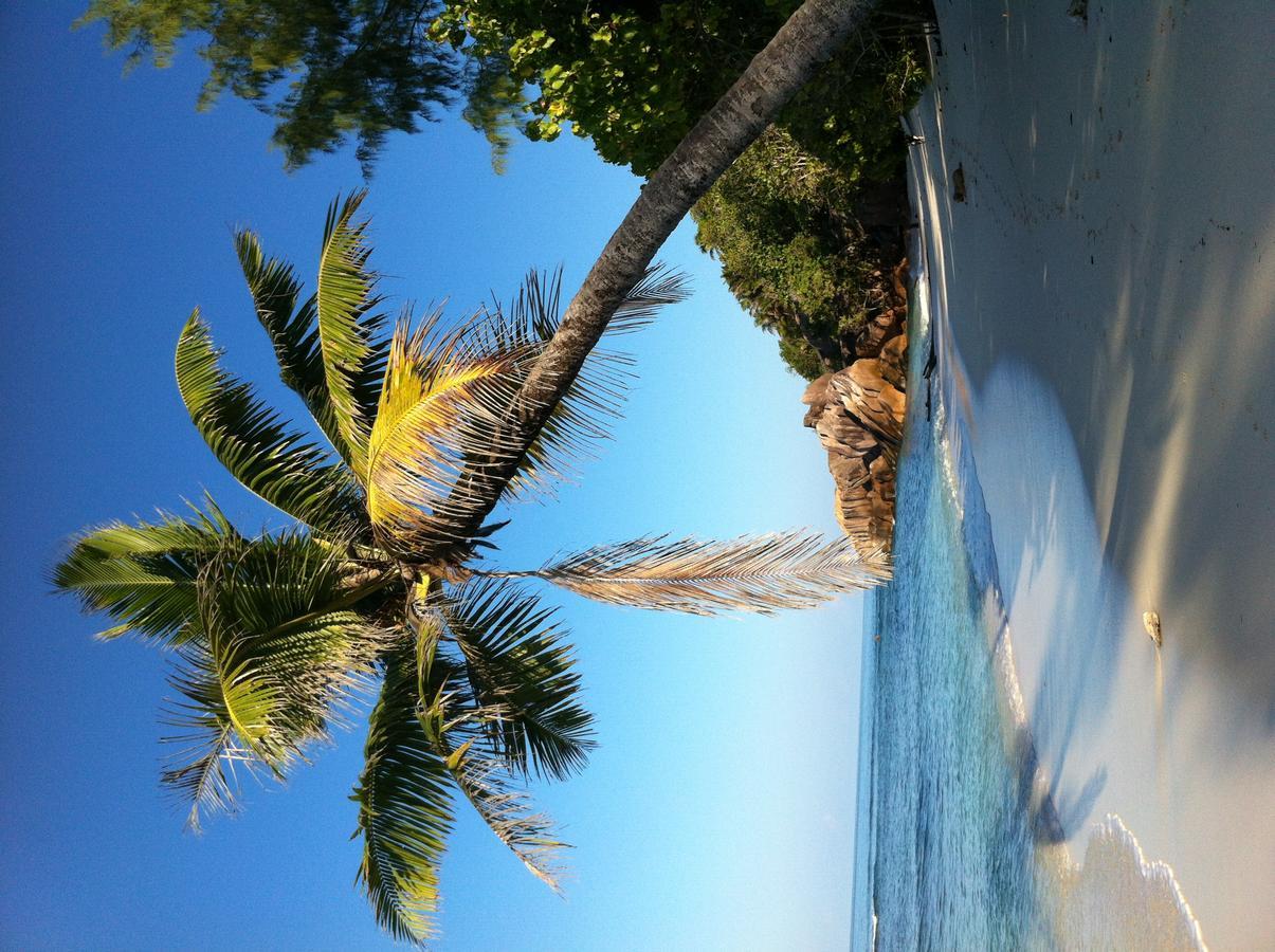 Villas Du Voyageur Grand Anse  Exteriör bild