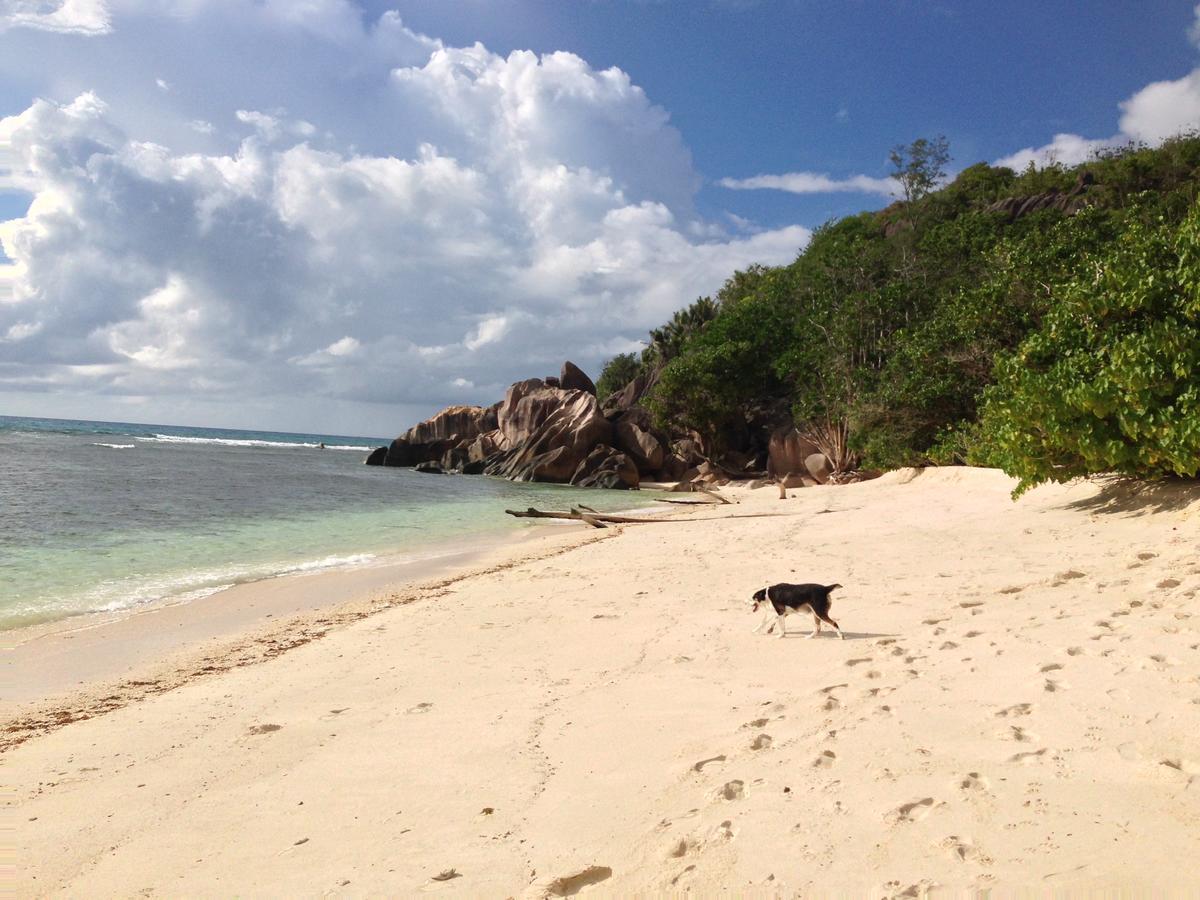 Villas Du Voyageur Grand Anse  Exteriör bild