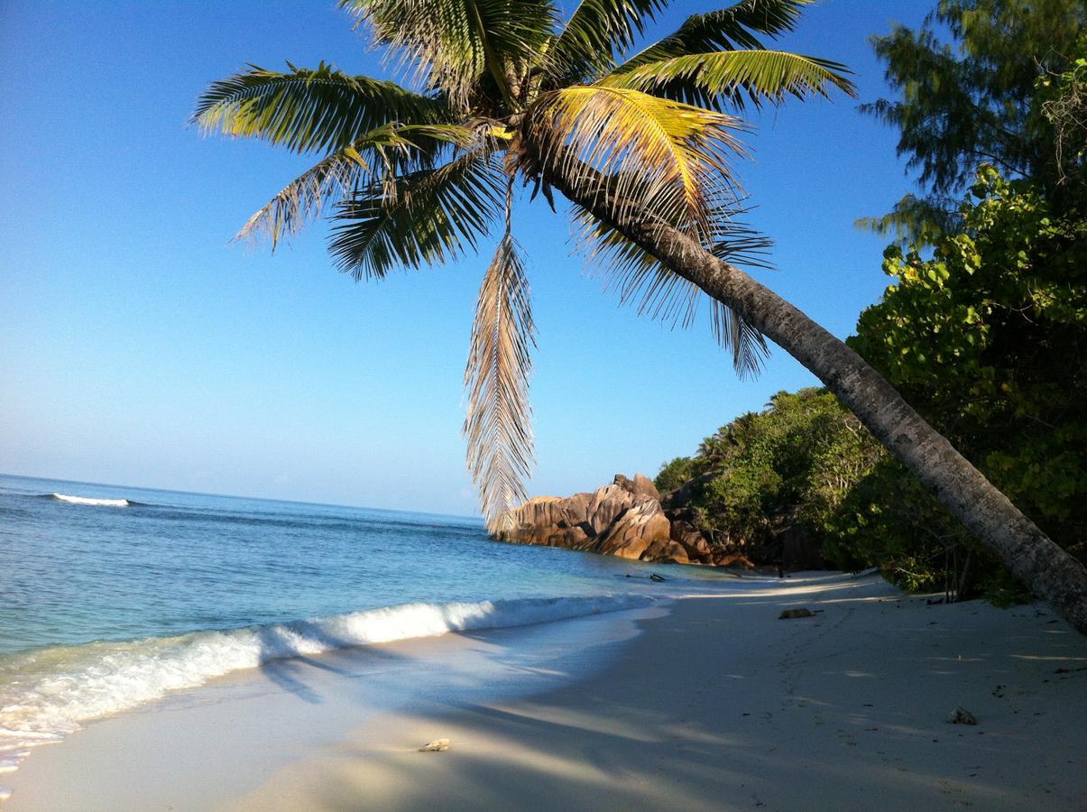 Villas Du Voyageur Grand Anse  Exteriör bild